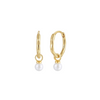 Alora Earrings - Gold Plated