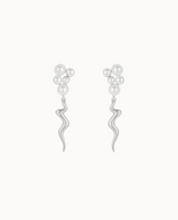 Kanasu Earrings - Zilver