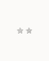 Nusa Petite Studs - Zilver